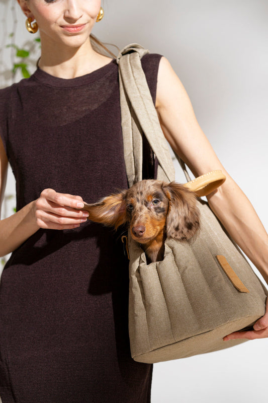 Bolsa de transporte para perros