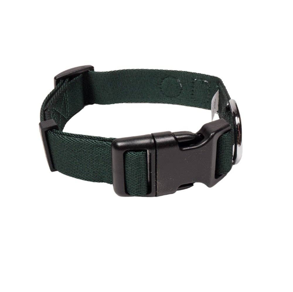 Evergreen Dog Collar