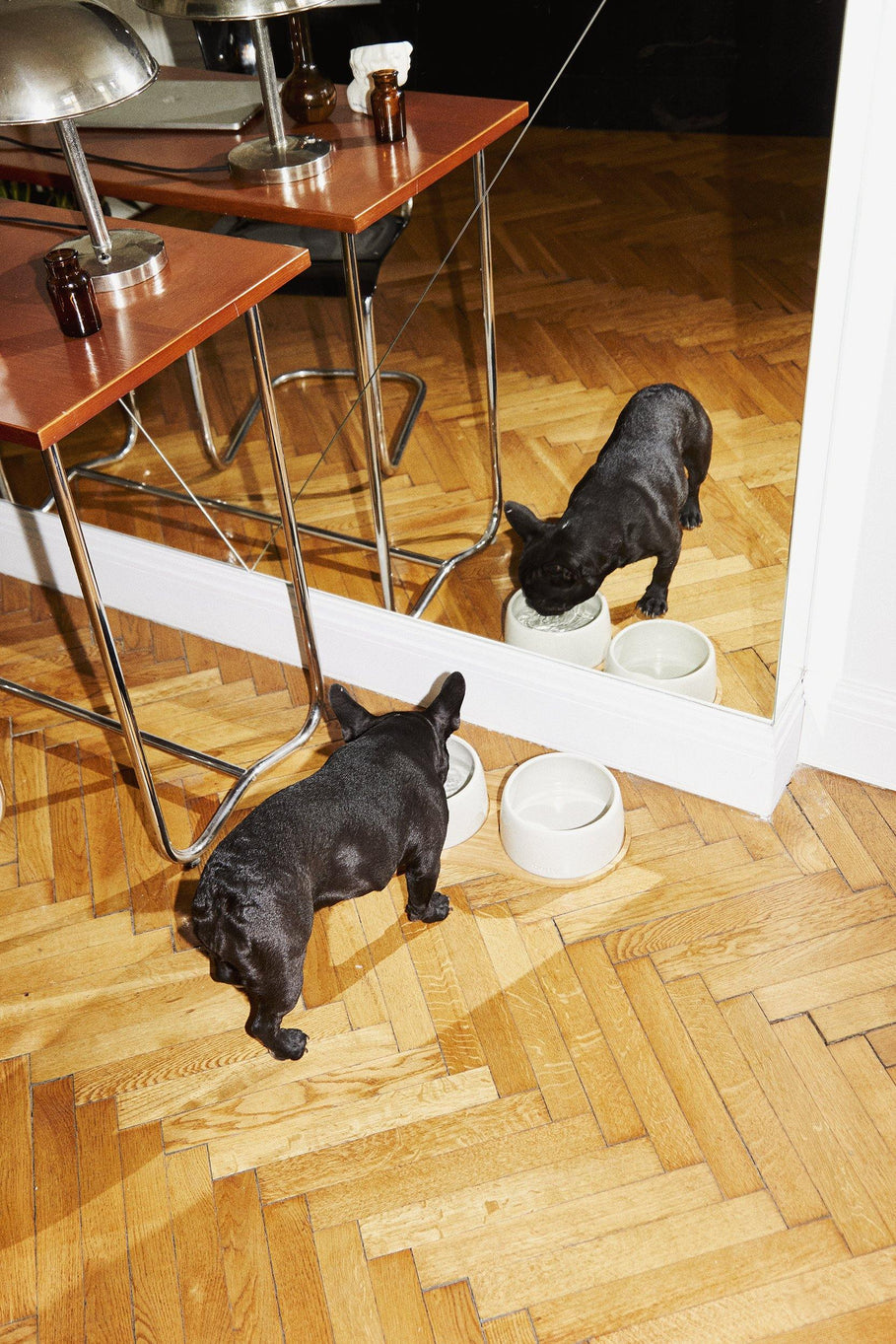 the dining set - bowls & tray set - Oyster