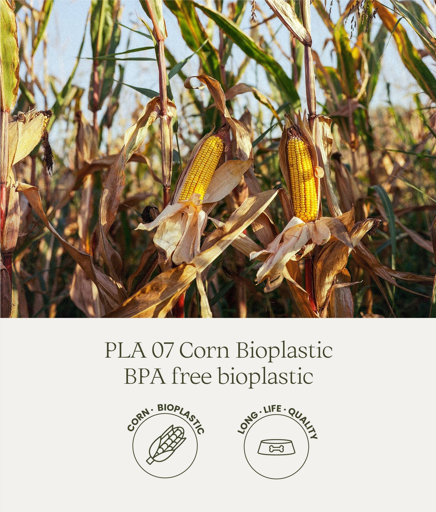 Bol en bioplastique Eaty Corn