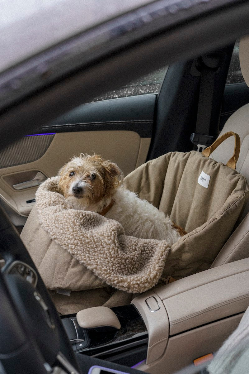 Siège d'auto pour chiens