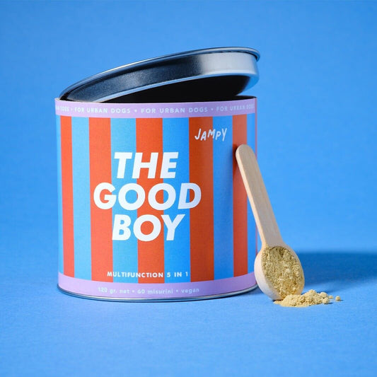 The Good Boy - Potencjał multiwitaminowy