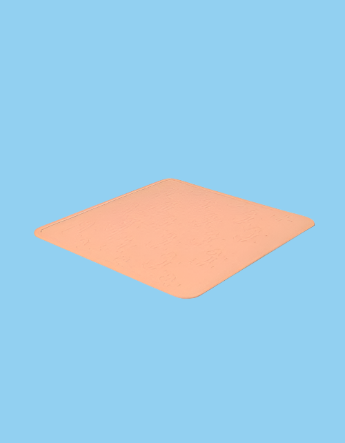 Antislide Bowl Mat