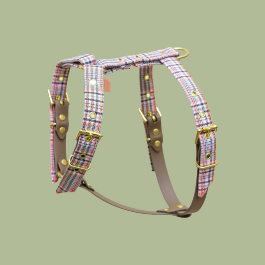 Baron dog harness