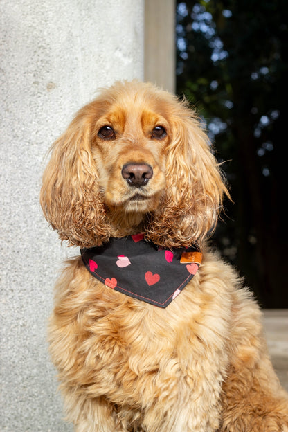 Bandana pour chien