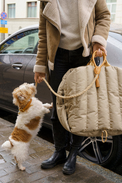 Siège d'auto pour chiens