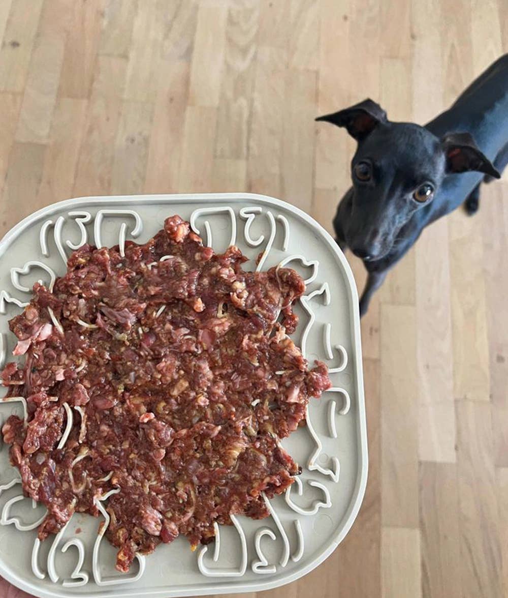 Eaty Eco Plastic Licking mat