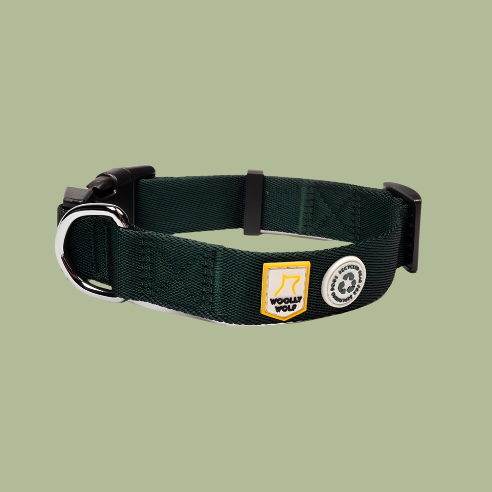 Evergreen Dog Collar