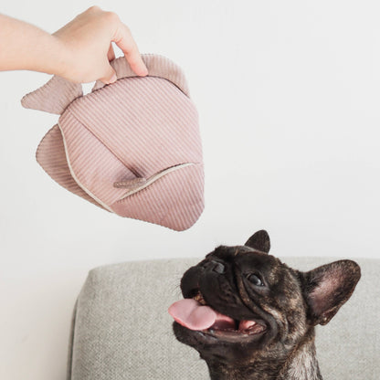 Poisson jouet pour chien d'enrichissement