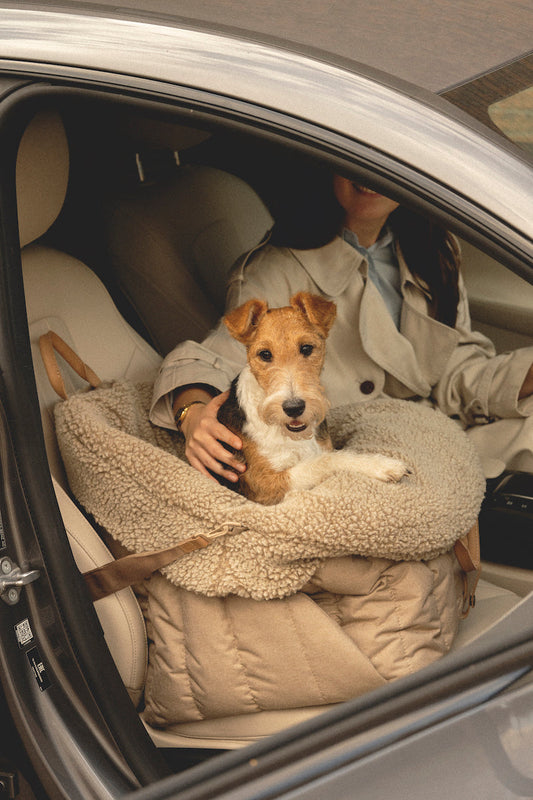 Silla de coche para perros