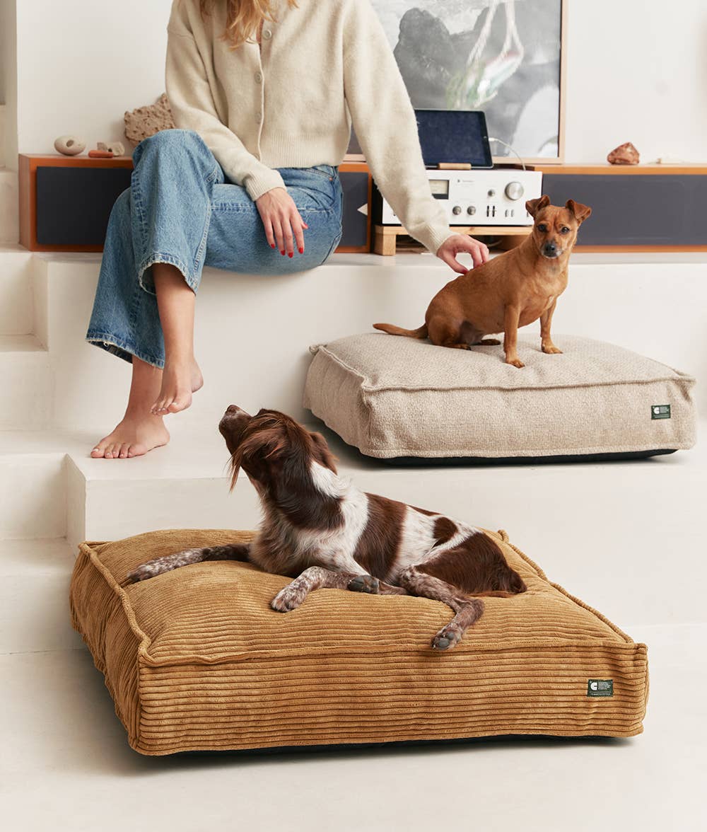 Square Orthopedic Dog Bed