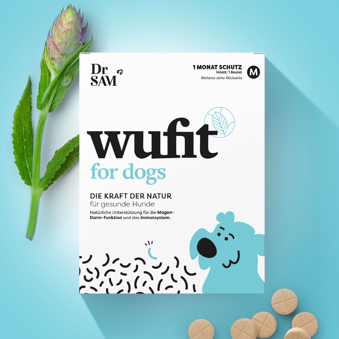 Gut pills for Dogs