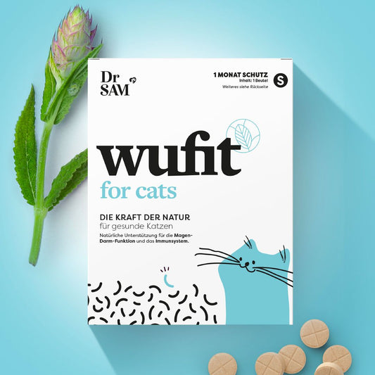 Gut pills for Cats