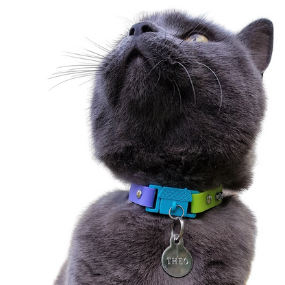 Collier de chat