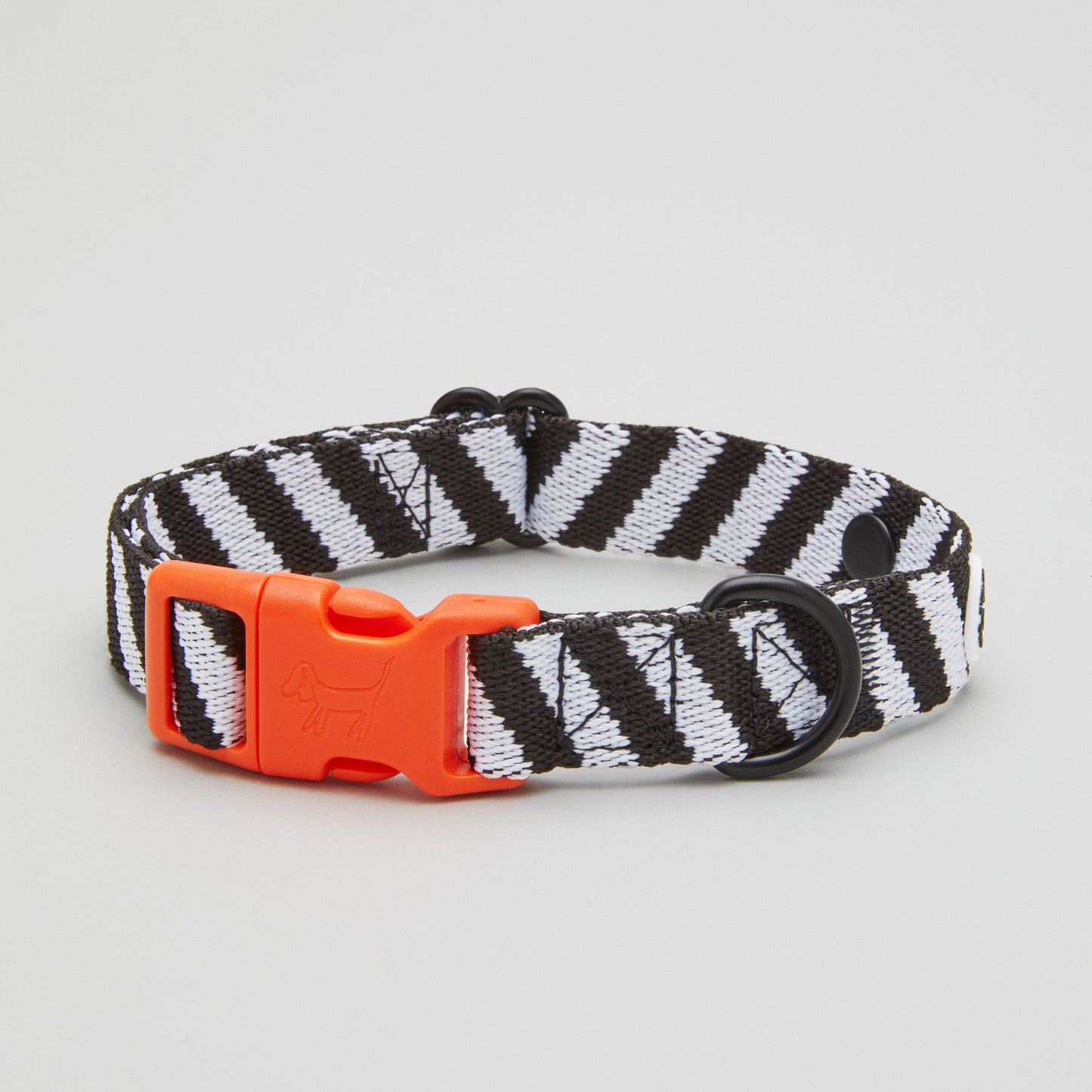 Lightweight Dog Collar