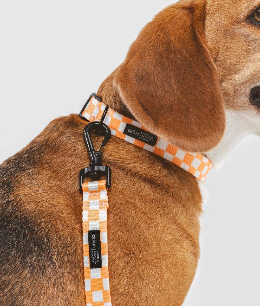 Juno Dog Leash