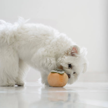 Juego de frutas de juguete para perros de enriquecimiento