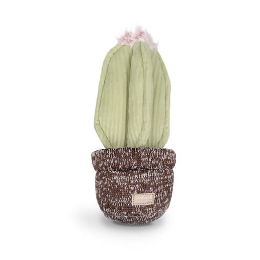 Cactus de juguete para perros Snuffle