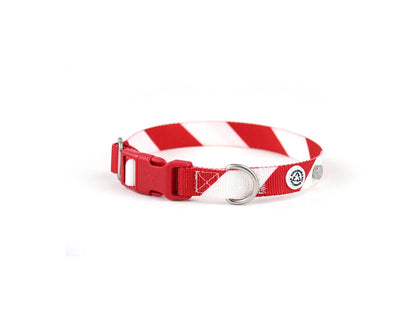 Lightweight Dog Collar