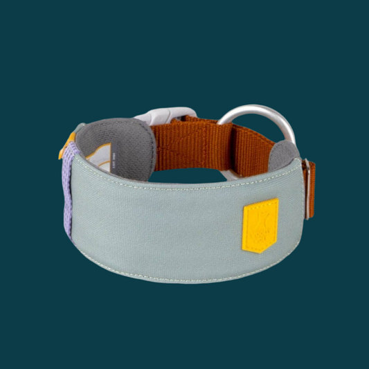 Alpha Dog Collar