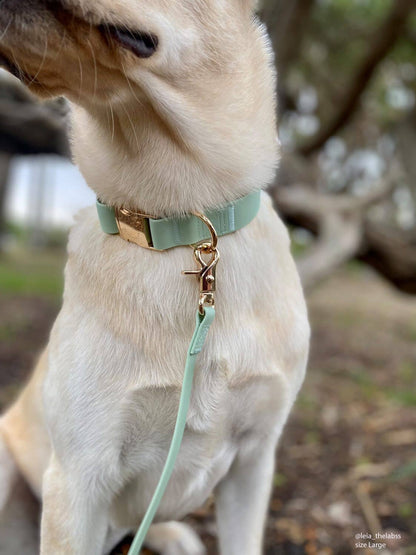 Collier de chien imperméable