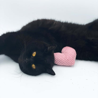 Scented cat toy