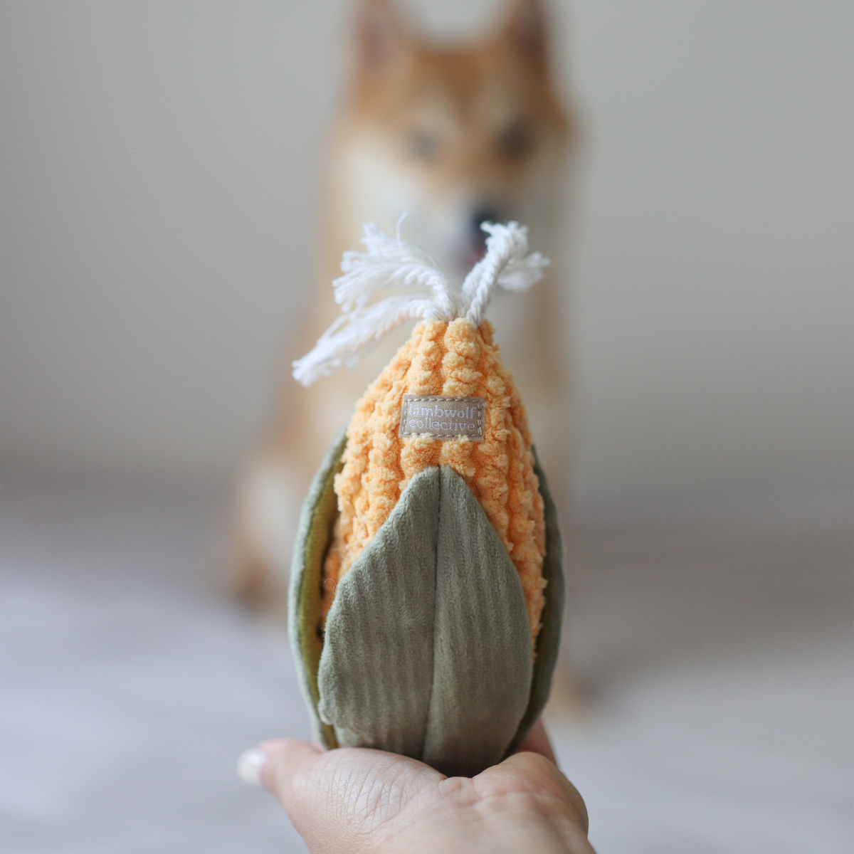 Enrichment Dog Toy Corn + Leek