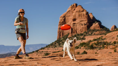 Frisbee pour chien