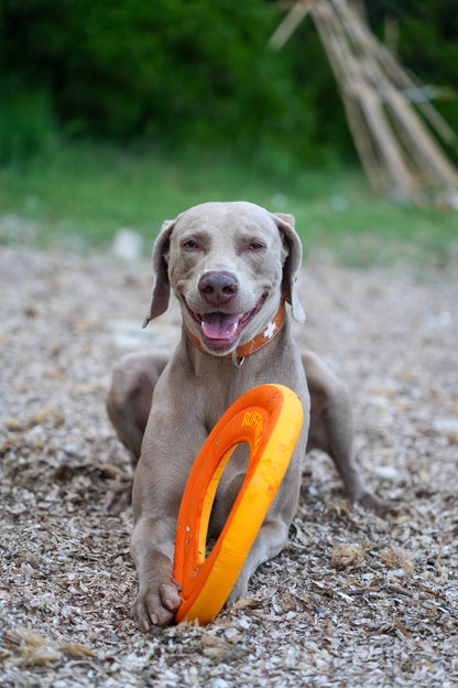 Floating Throw Toy