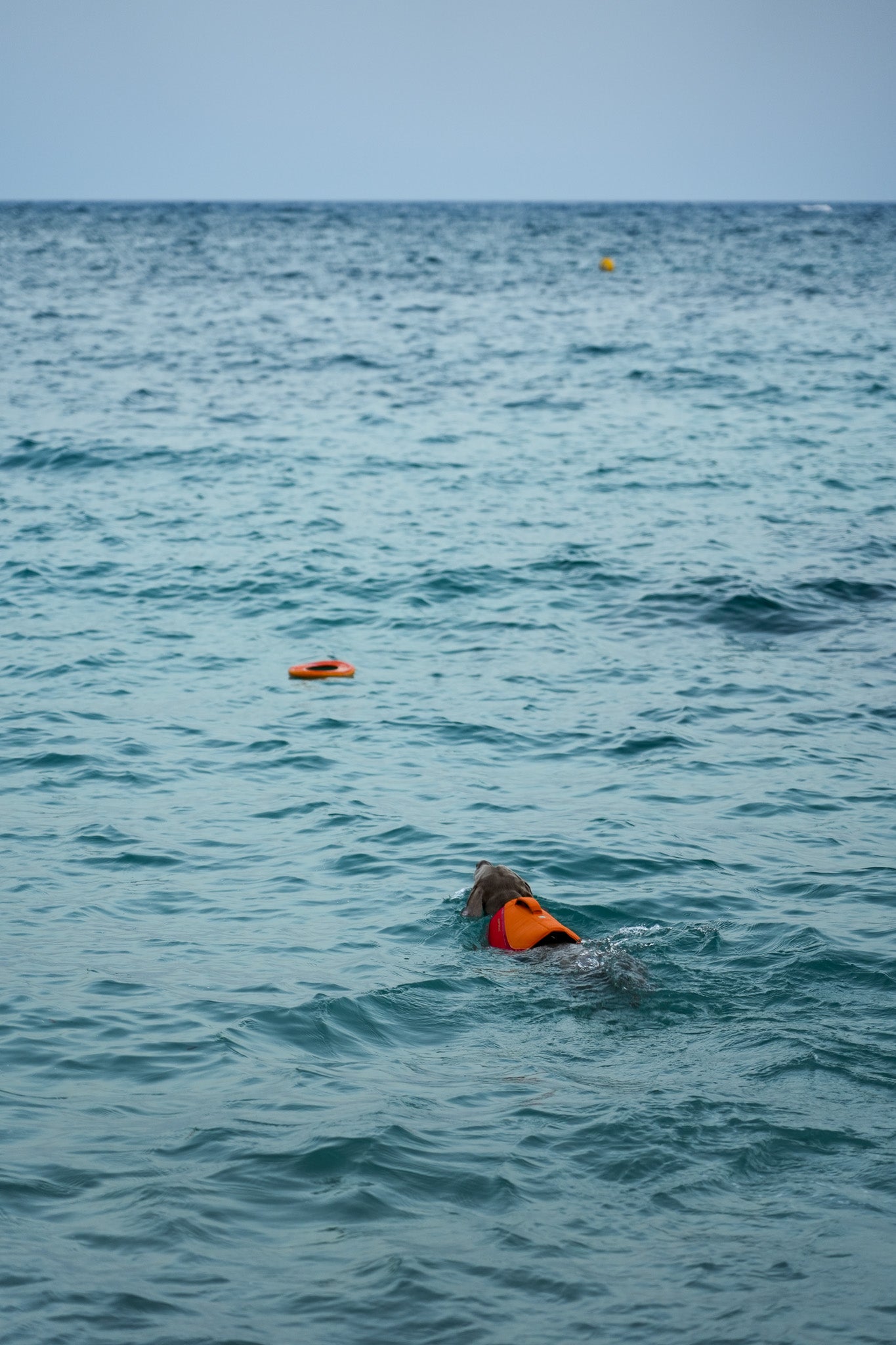 Floating Throw Toy