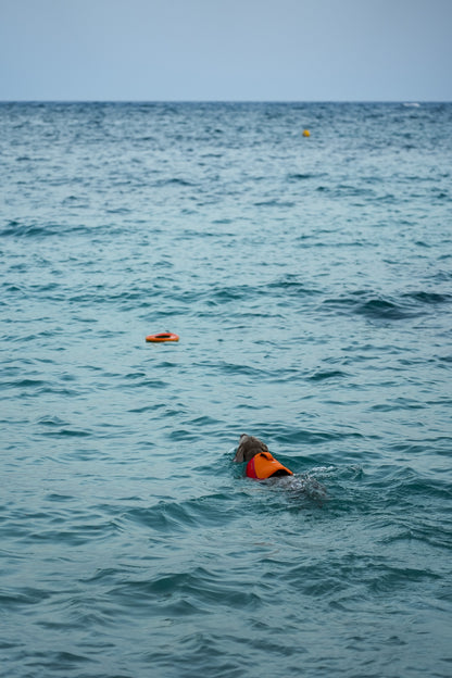 Jouet à lancer flottant