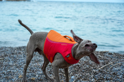 Chaleco salvavidas para perros