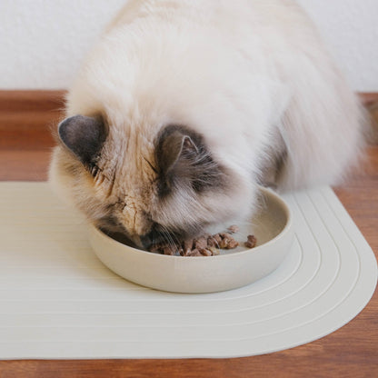 Bowl for cats and dogs