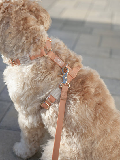 Lite Dog Harness