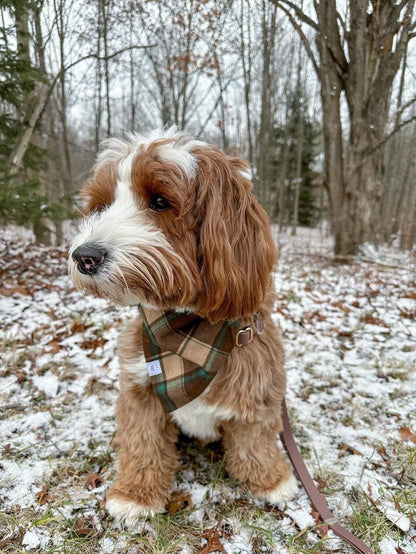 Bandana pour chien en flanelle