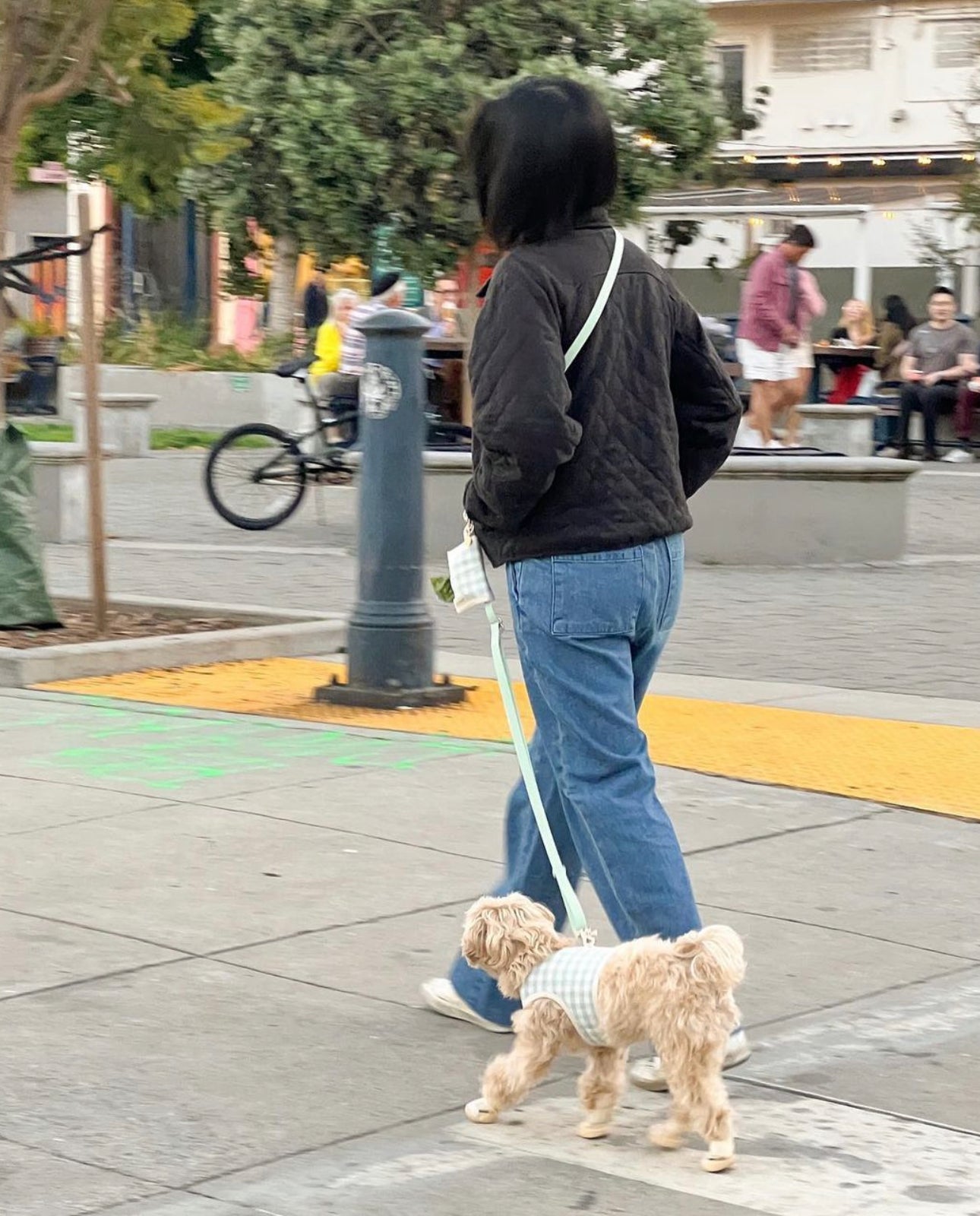 Convertible Hands Free Dog Leash