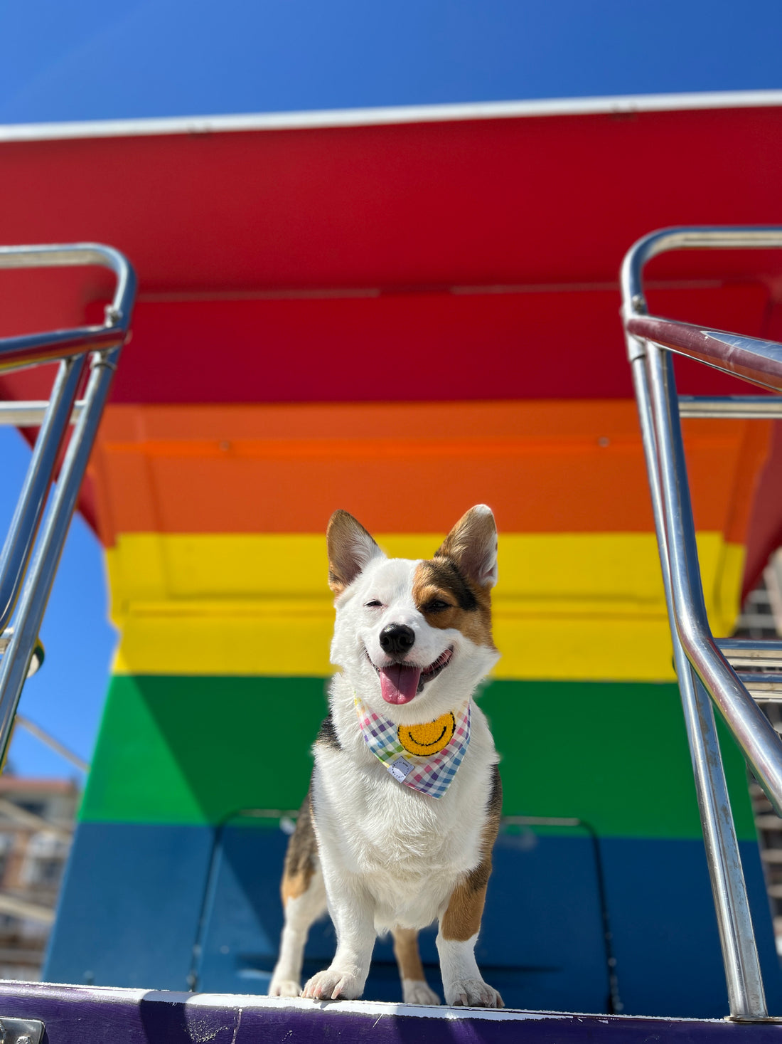 Rainbow Dog Bandana