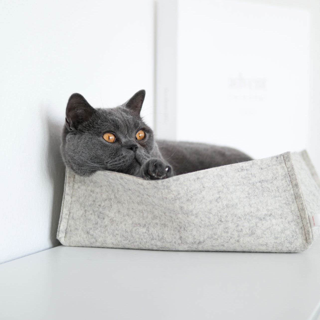 Comfort bed for cats