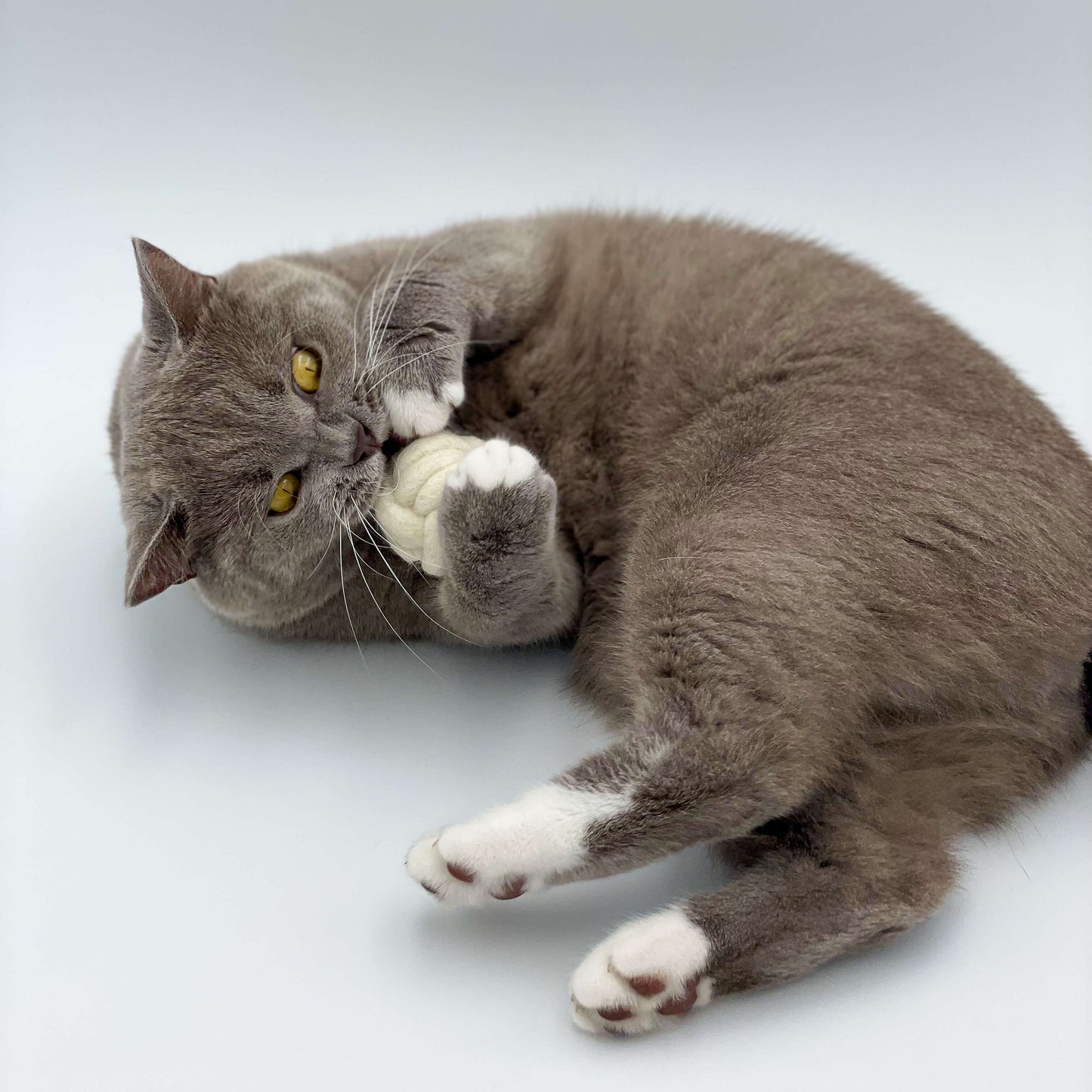 Game ball for cats