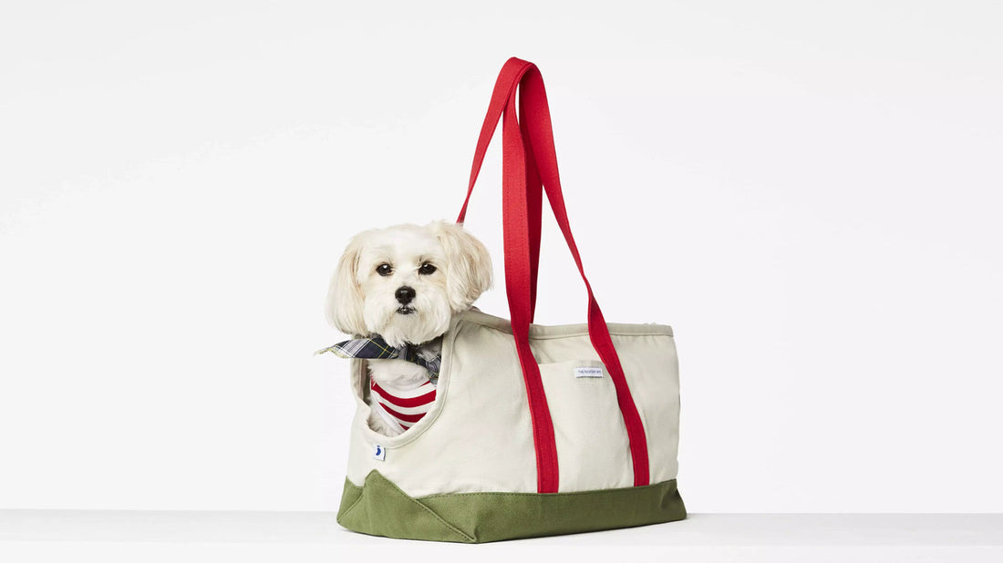 Sac de transport pour chien Constantin