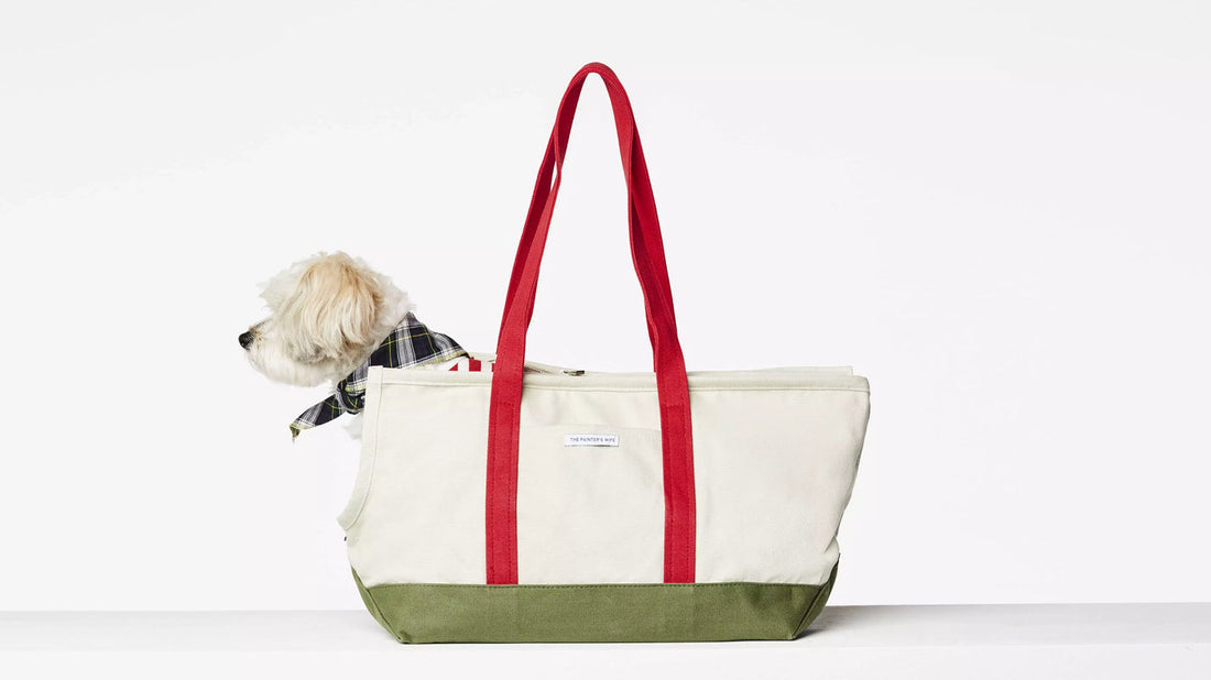 Sac de transport pour chien Constantin