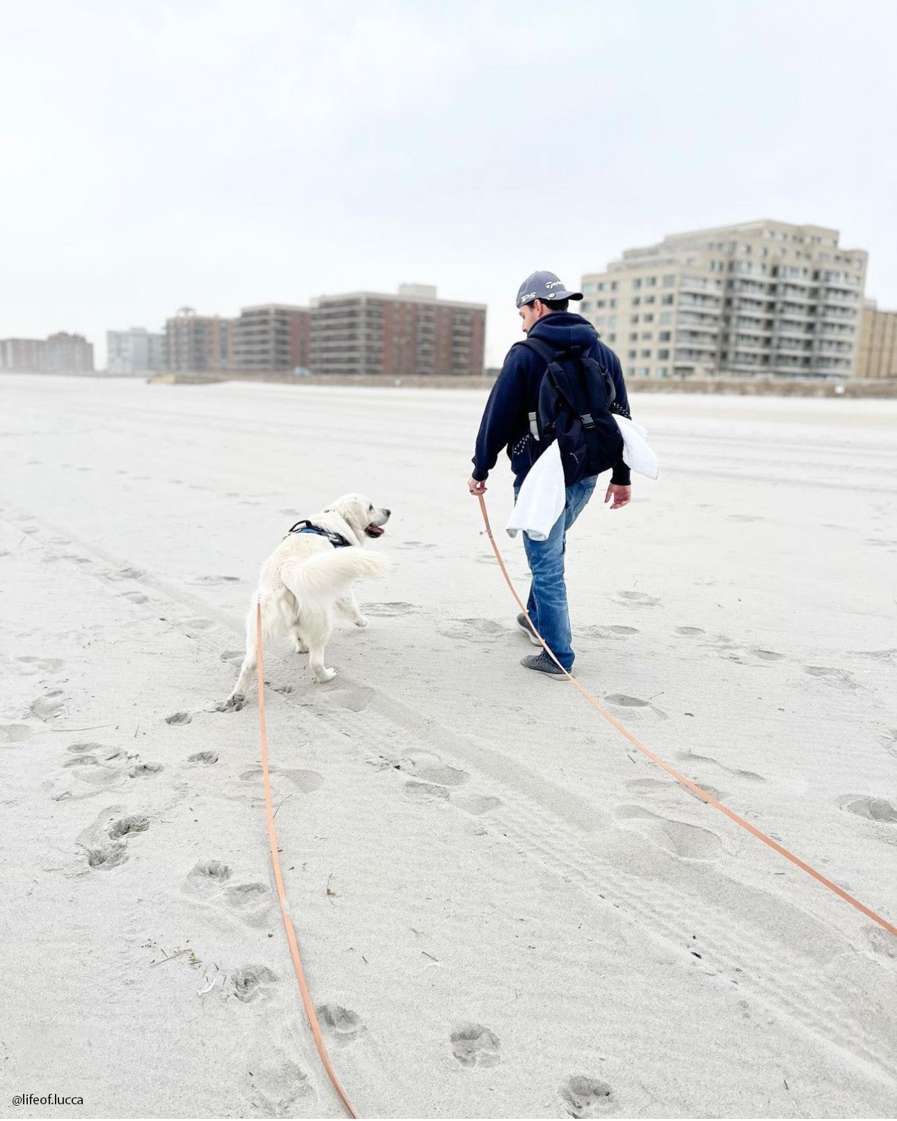 Waterproof Long Dog Leash