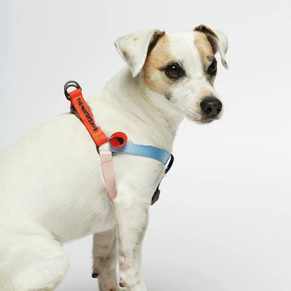 Sonia Dog Harness