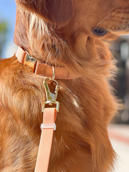 Convertible Hands Free Dog Leash