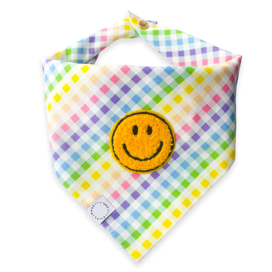 Bandana pour chien arc-en-ciel