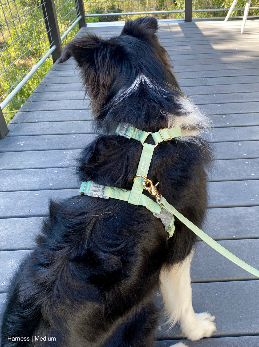 Lite Dog Harness