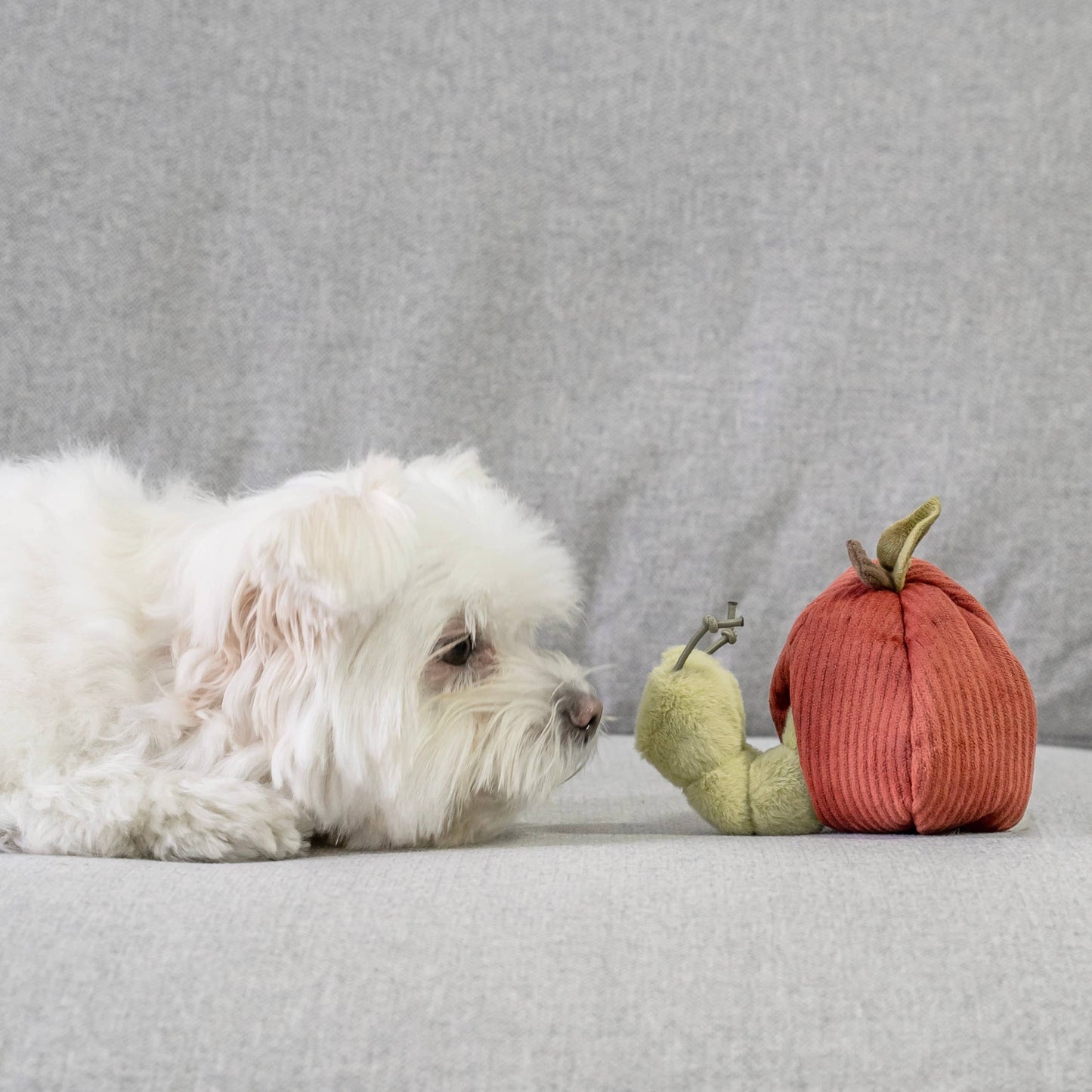 Juego de frutas de juguete para perros de enriquecimiento