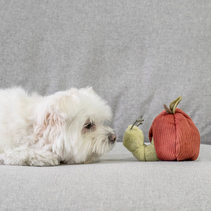 Ensemble de fruits pour chien d'enrichissement