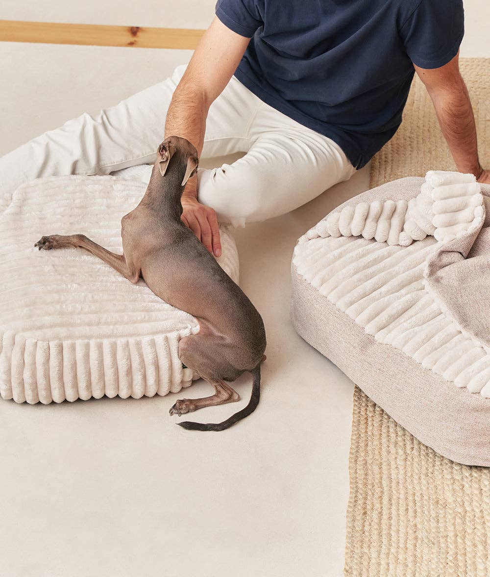 <tc>Cama para perros Maso con capucha</tc>