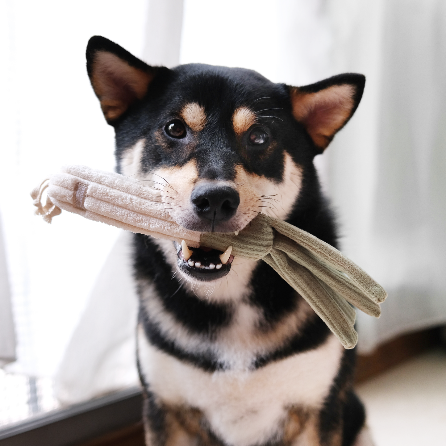 Enrichment Dog Toy Corn + Leek